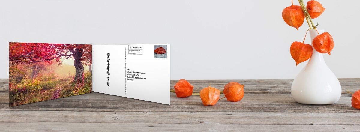Foto-Postkarte online gestalten